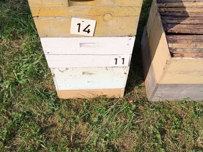 Bild 8:Verkaufe Bienenstöcke Bienenstock