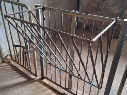 Bild 5:Aufstallung für Kälber