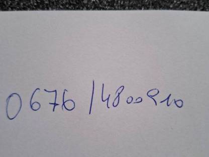 Bild 2:Suche Ferkelmäster