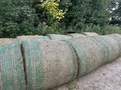 Bild 2:Heu, Grummetballen