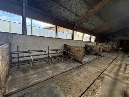 Bild 8:Hörmann Aufstallung Kalbinnen Aufzucht Kuh Rind Liegebuchten