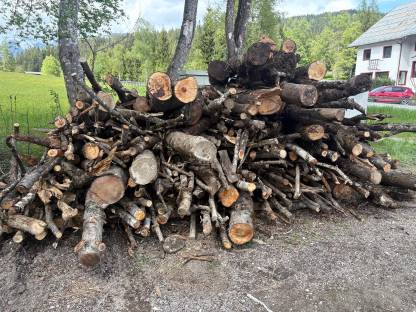 Bild 3:Brennholz
