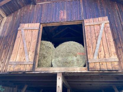 Bild 2:Grobes Heu von Biodiversitätsfläche und Streuwiese günstig