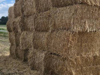 Bild 4:Stroh / Strohballen