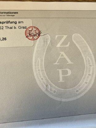 Bild 8:Trächtige, leistungsgeprüfte Haflingerstute zu verkaufen