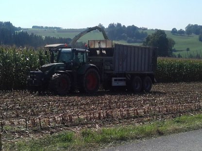 Bild 5:Suche Silomais