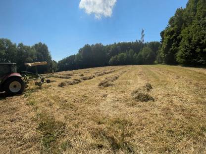 Bild 3:Heu Kleinballen 2024