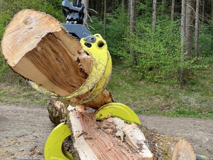 Bild 6:Woodcracker L920