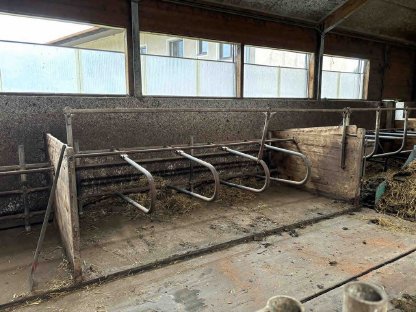 Bild 4:Hörmann Aufstallung Kalbinnen Aufzucht Kuh Rind Liegebuchten