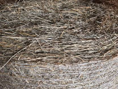 Bild 2:Bio Heu