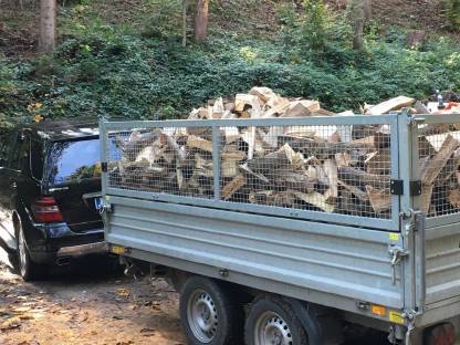 Buchen oder Fichten Brennholz, ofenfertig
