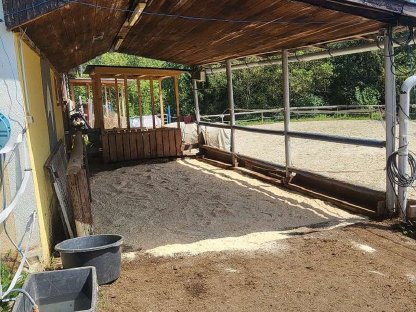 Bild 5:Einstellplatz Graz Selbstversorger Offenstall Paddock Box