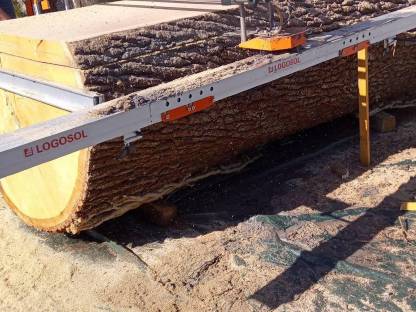 Bild 7:Tischlerholz, Bauholz