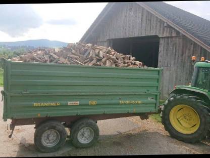 Brennholz