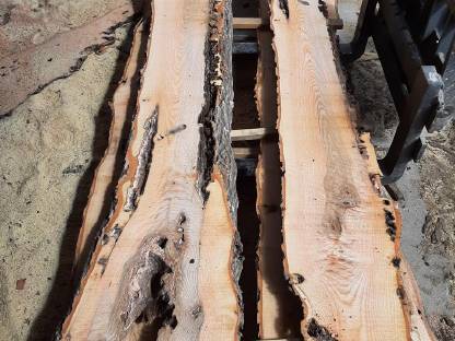 Bild 6:Esche Pfosten