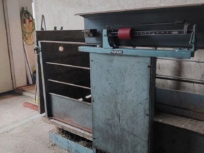 Bild 2:Viehwaage Florenz