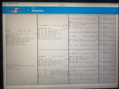 Bild 8:Trächtige Fleckviehkalbinnen