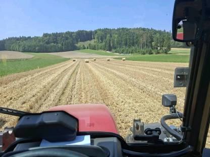 Bild 2:Verkaufe Stroh