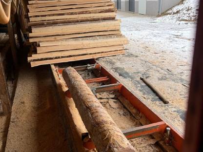 Bild 6:Lärchenstempel