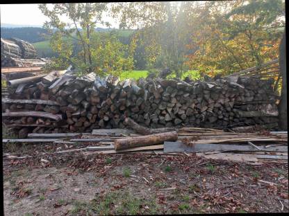 Bild 6:Brennholz