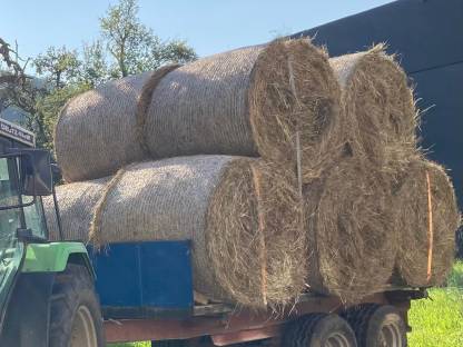Grobes Heu von Biodiversitätsfläche und Streuwiese günstig