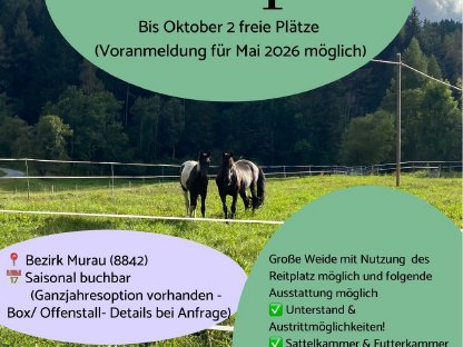 Sommerweide, Almweide oder Einstellplatz für dein Pferd