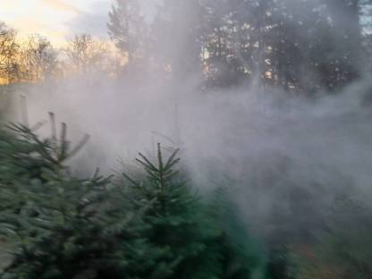 Bild 6:Gebläsespritze HARDI Nordmanntanne