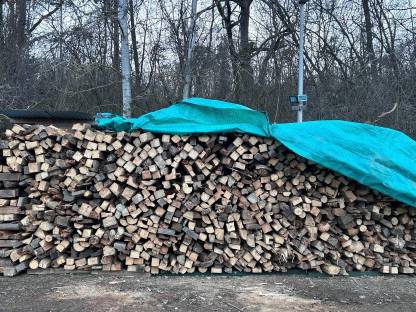 Brennholz