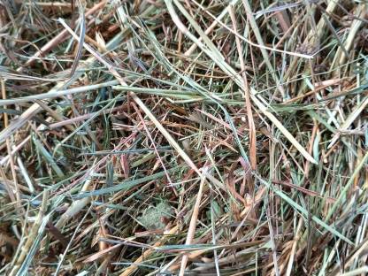 Bild 2:Heu HD-Ballen 1. Schnitt 2025, Bioland, staubarm und trocken