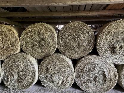 Bild 4:Heuballen