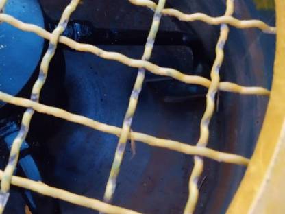 Bild 4:Zwangsmischer Putzmeister