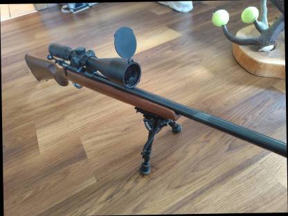 Cz455 17 hmr