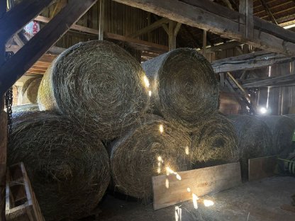 Bild 3:Bio-Heurundballen für Pferde