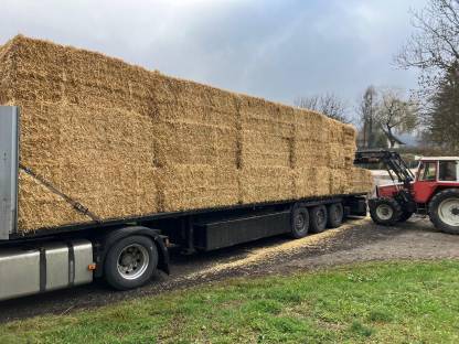 Bild 3:Gerstenstroh und Weizenstroh