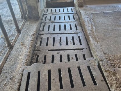 Bild 7:Aufstallung, Fressgitter, Liegeboxen, Tränken, Abtrennungen