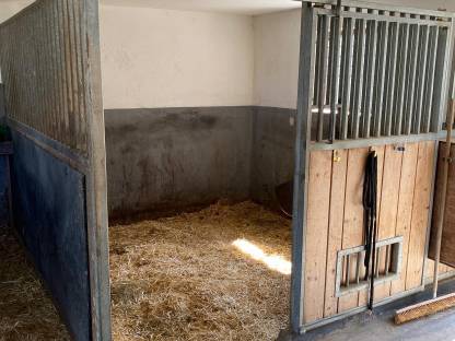 Pferdeboxen - Einstellplatz frei