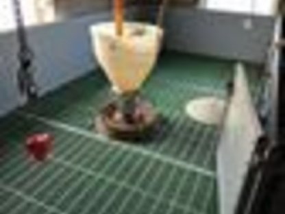 Bild 7:Sämtliche Schweineaufstallungen