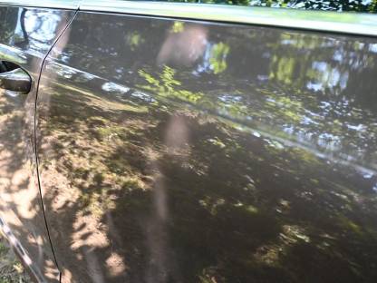 Bild 3:Skoda Octavia 1,6 TDI 4x4