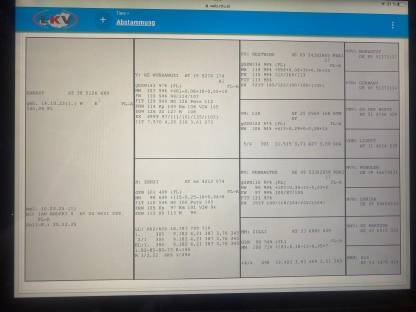 Bild 7:Trächtige Fleckviehkalbinnen