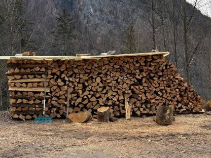 Bild 2:Brennholz Buche Meterscheiter