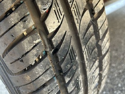 Bild 5:Hundetransportanhänger WT-Metall