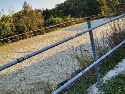 Bild 6:Einstellplatz Graz Selbstversorger Offenstall Paddock Box