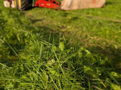 Bild 2:Bio Austria Siloballen 3. Schnitt