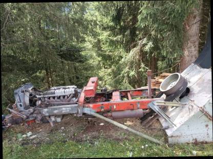 Bild 6:Holzhäcksler, Hackgut