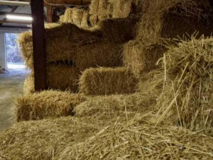 Bild 3:Stroh Kleinballen