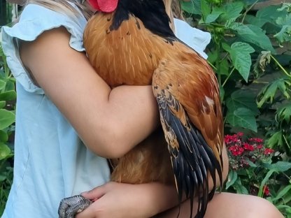 Bild 2:Vorwerkhahn Zorro