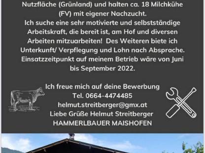 Bild 2:Suche Praktikanten