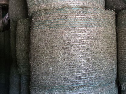 Bild 2:Heu 1. und 2. Schnitt