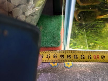 Bild 7:Aquarium mit kompletter Deko, Filter, Füllspektrum, Lampe