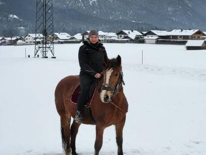 Bild 5:Süddeutsche Kaltblutstute